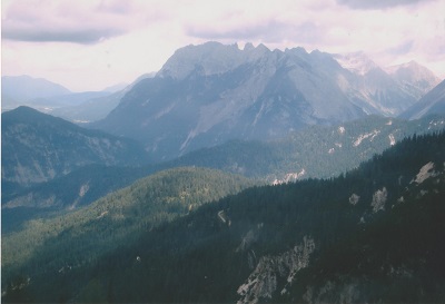 SFF 001