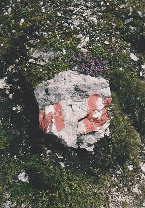 SFF 006