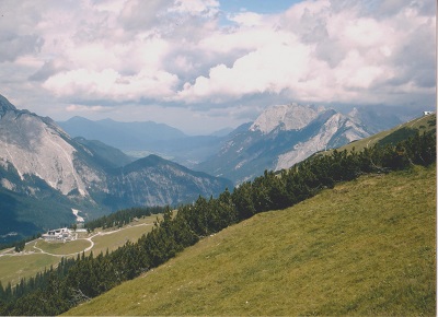 SFF 007