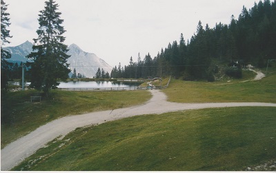 SFF 008