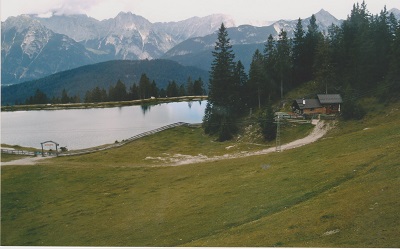 SFF 009