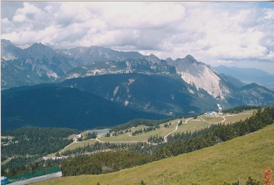 SFF 010