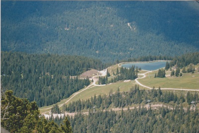 SFF 015