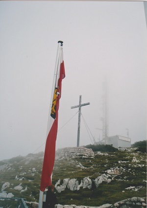 dach 2 008
