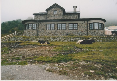 dach 3 008