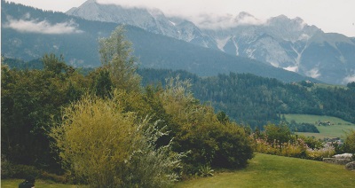 dach 4 010
