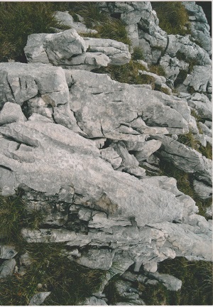 dachstein 007