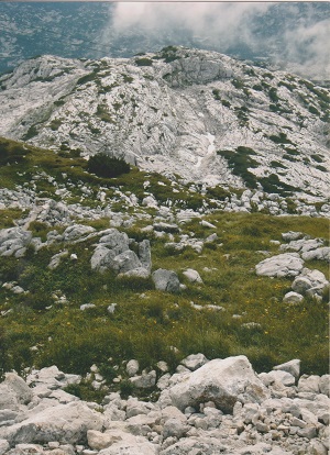 dachstein 2