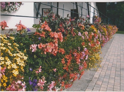 seefeld 024