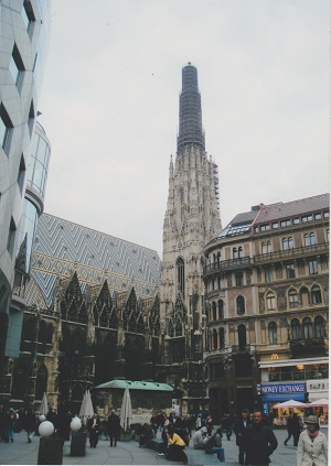 viden 001