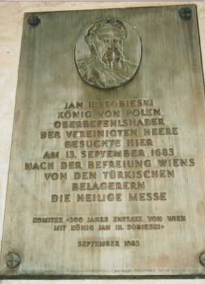 viden 5