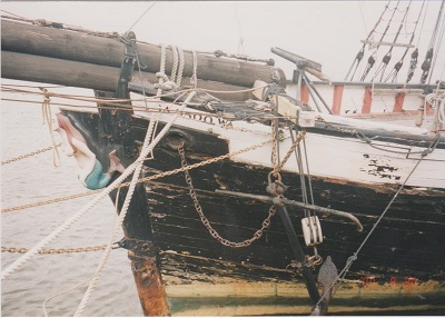 Savannah 1 004