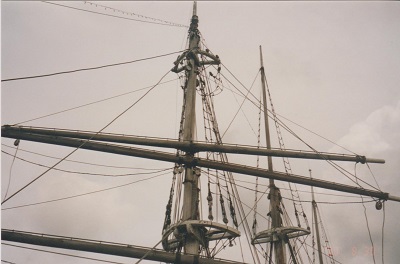 Savannah 1 005