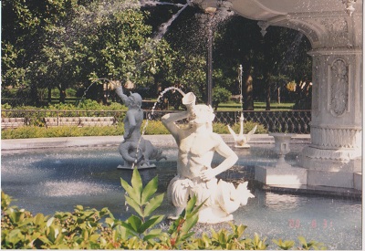 Savannah 2 002
