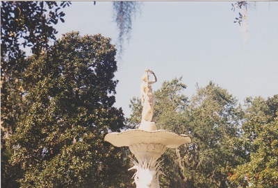 Savannah 2 005