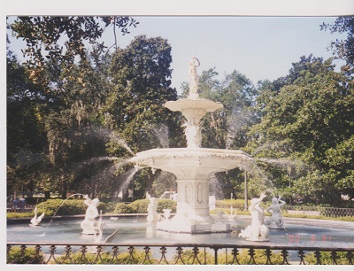 Savannah 3 002