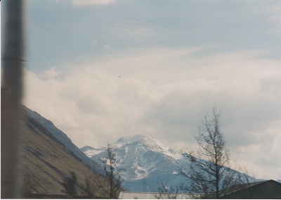 skot 003