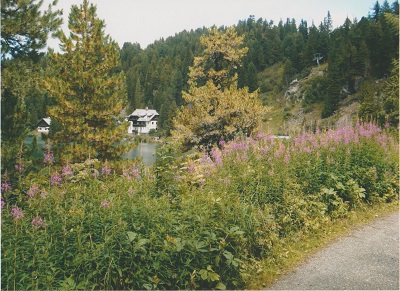 Turrach 012