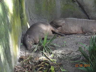 601