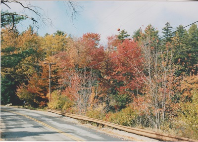 Aca 009