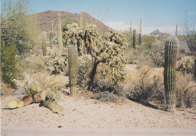 Ariz 001