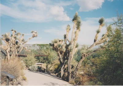 Ariz 003