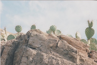Ariz 010