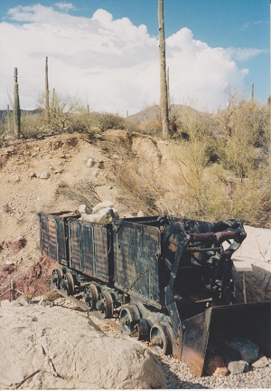Ariz 011