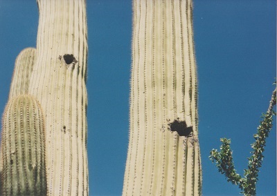 Casa Grande 002