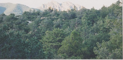 Chiri 002