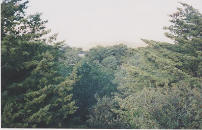 Chiri 014