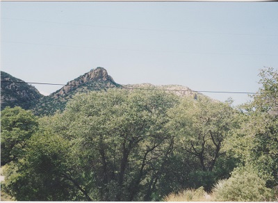 Coronado 004