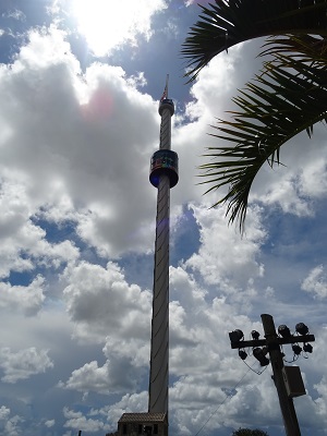 DSC03502