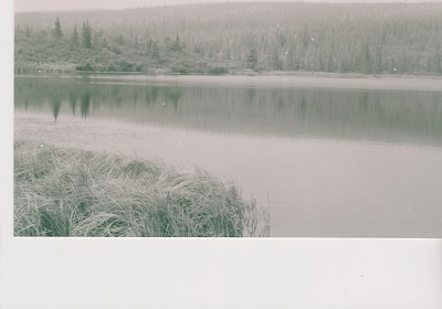 Denali 013