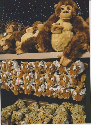 FAO 006