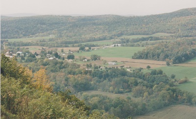 FA 010