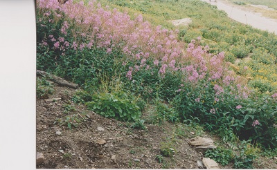 Glac 012