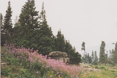 Glacier 005