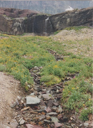 Glacier 008