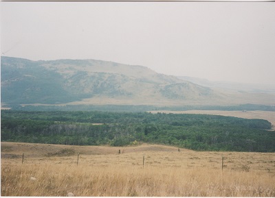 Glacier 015