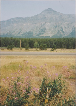 Glacier 020