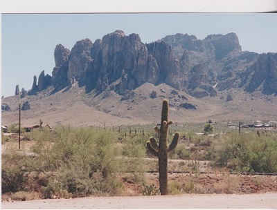 Goldfield 012