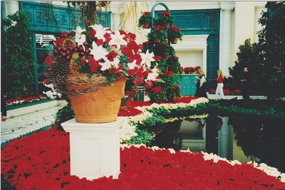 Bellagio 005