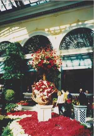 Bellagio 006