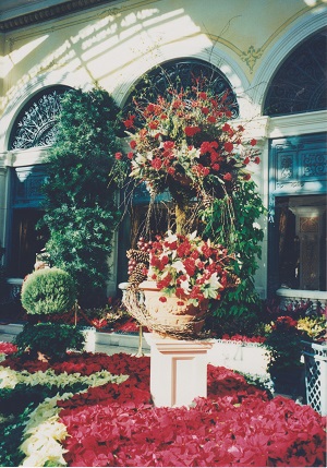 las vegas 006