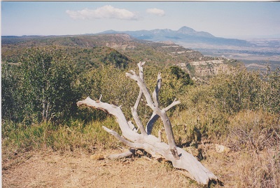 Mesa Verde 005