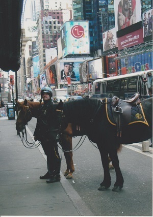 NYC 100 001