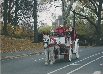 NYC 100 003