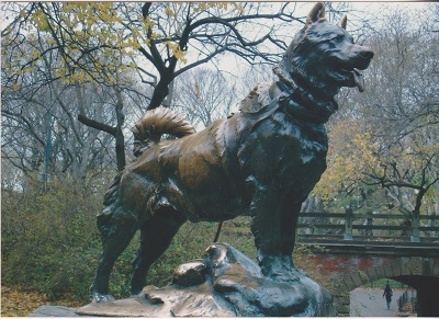 NYC 200 004