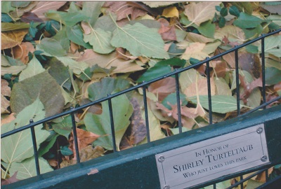 NYC 200 005